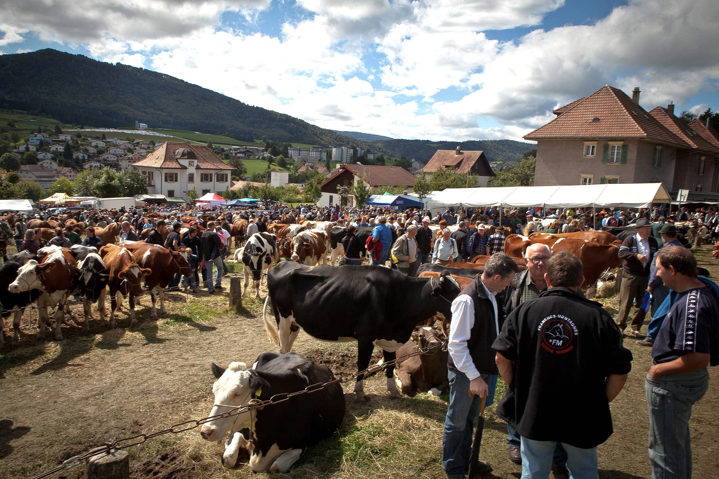 Territoire vivant et accessible