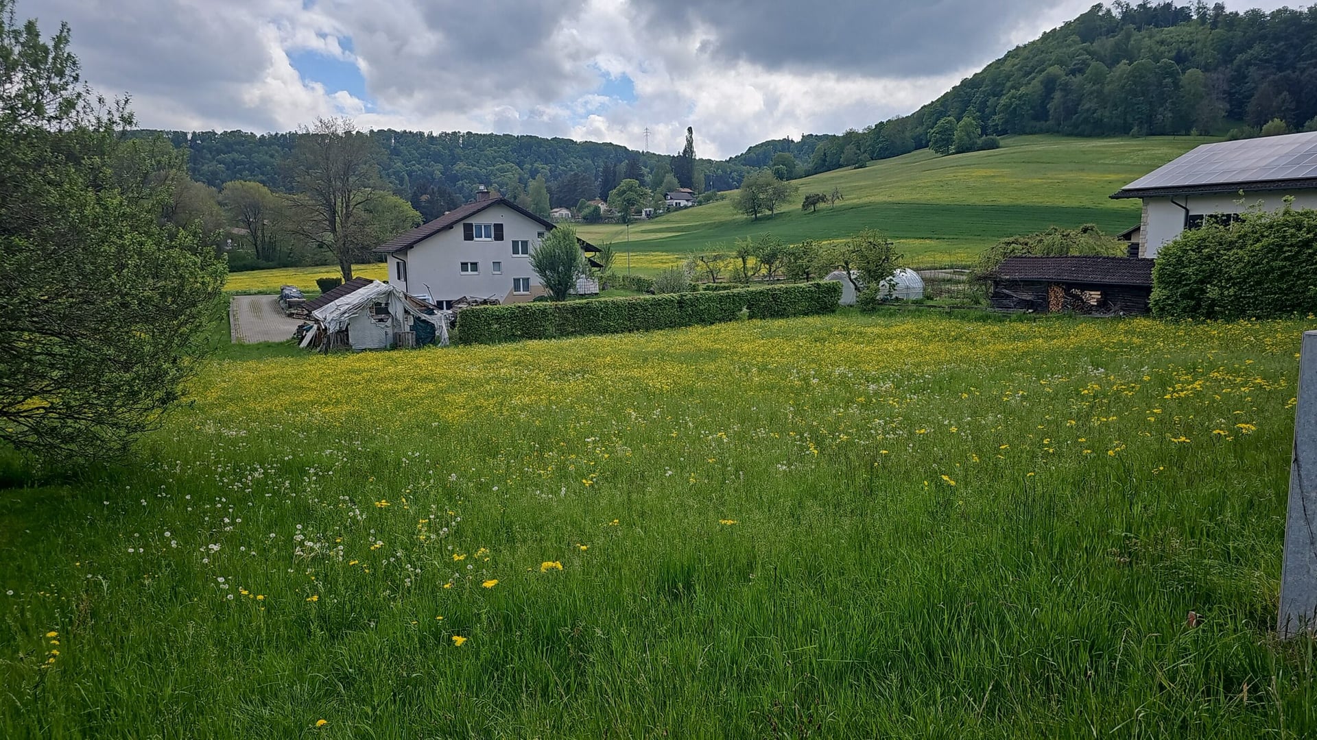 À vendre à Movelier terrain à bâtir de 1'468 m² - photo 3