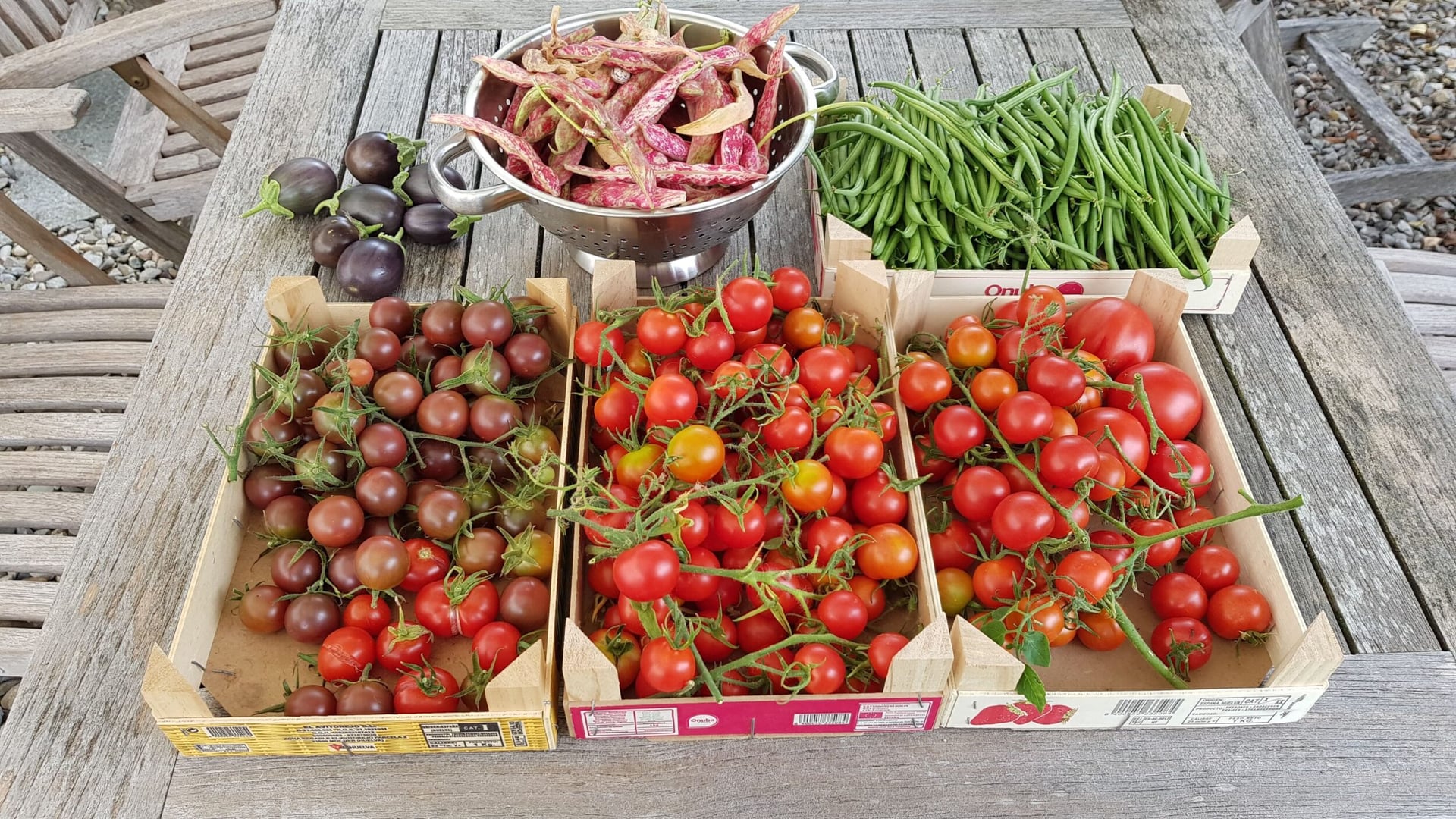 Ferme rénovée de 4.5 pièces à Coeuve en Ajoie avec grand jardin - photo 2