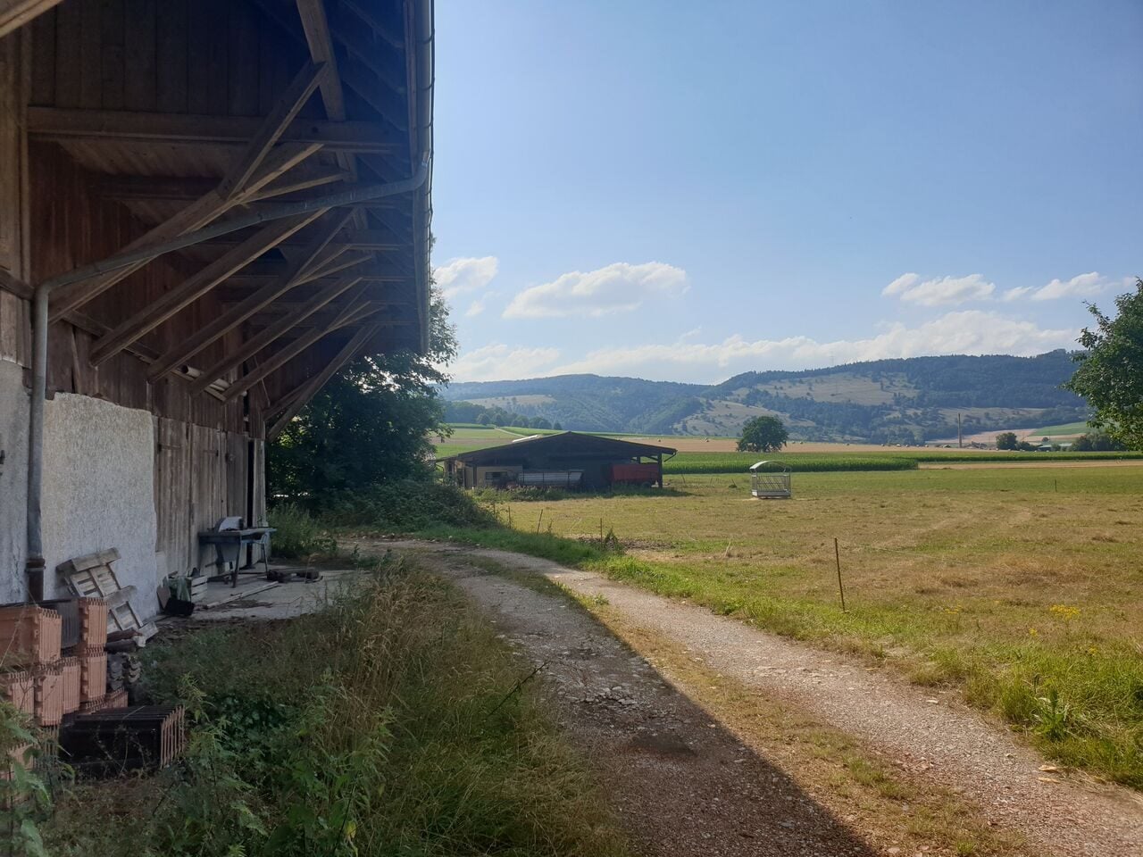 À vendre bâtisse à transformer à Bassecourt - photo 1