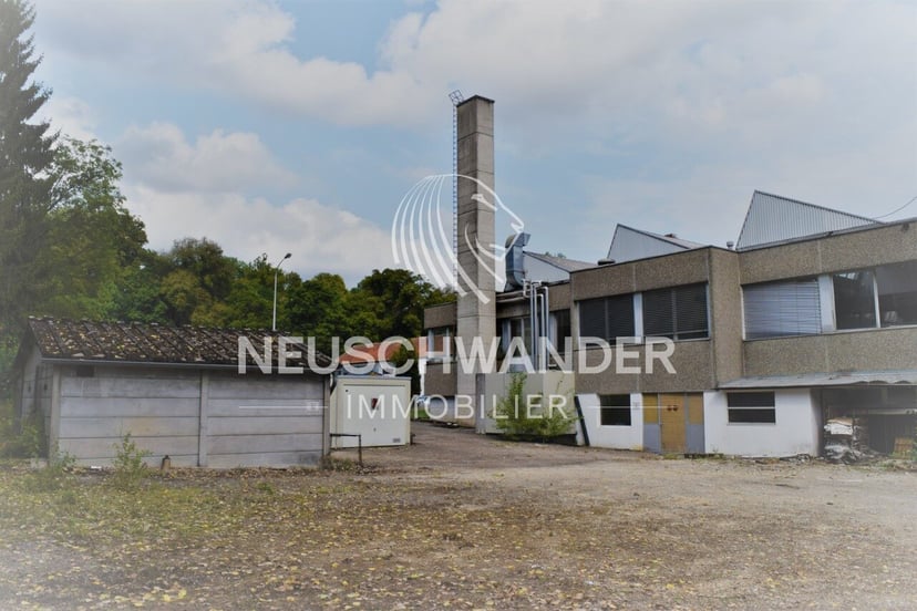 À vendre grands locaux de 4'211 m2 à Porrentruy - photo 2