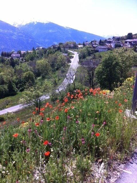 Grand terrain de 2 parcelles de 1'841 m² à vendre à Mollens - photo 3